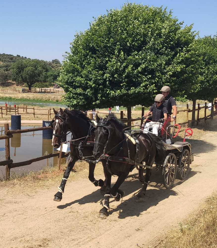 Triple podio Navarro en el Campeonato de España de Enganches